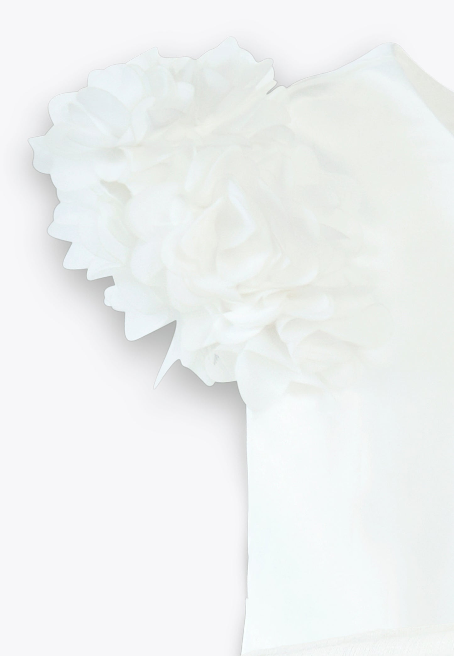Abito con Applicazioni in Raso Lucido e Organza