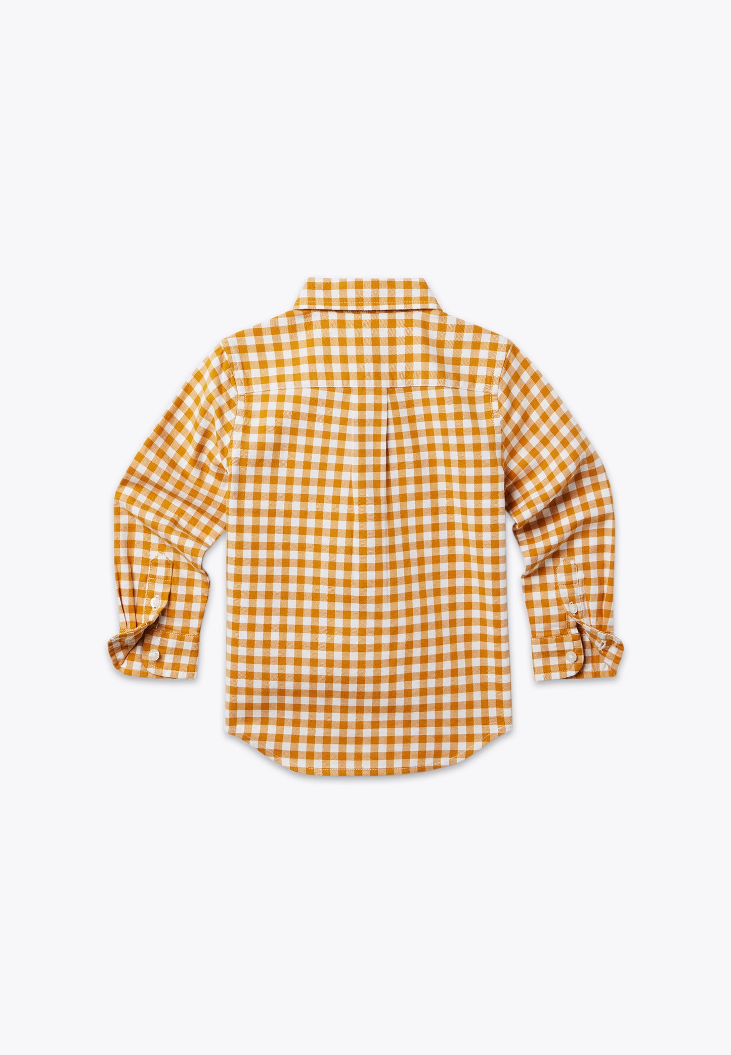 Camicia Gingham Garzata in Twill