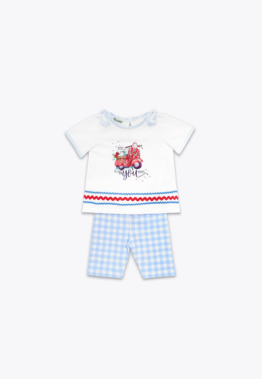 2 Piece Set: Long T-Shirt and Cropped Pants